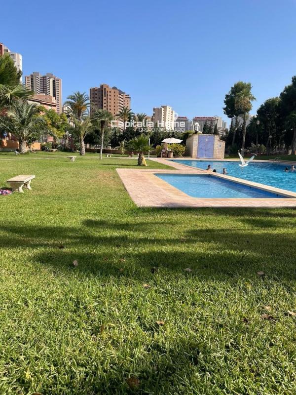Sale of apartment in Piso en Calle de Dénia, Playa de Poniente, Benidorm, Benidorm
photo 1