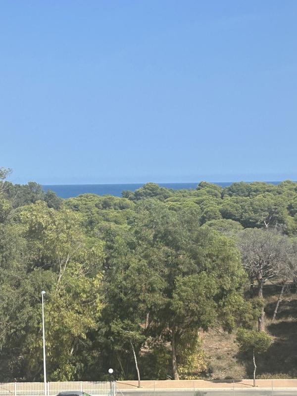 Продажа квартиры на Piso en Avenida del Puerto, 33, Puerto Deportivo, Guardamar del Segura, Гуардамар-дель-Сегура
photo 2