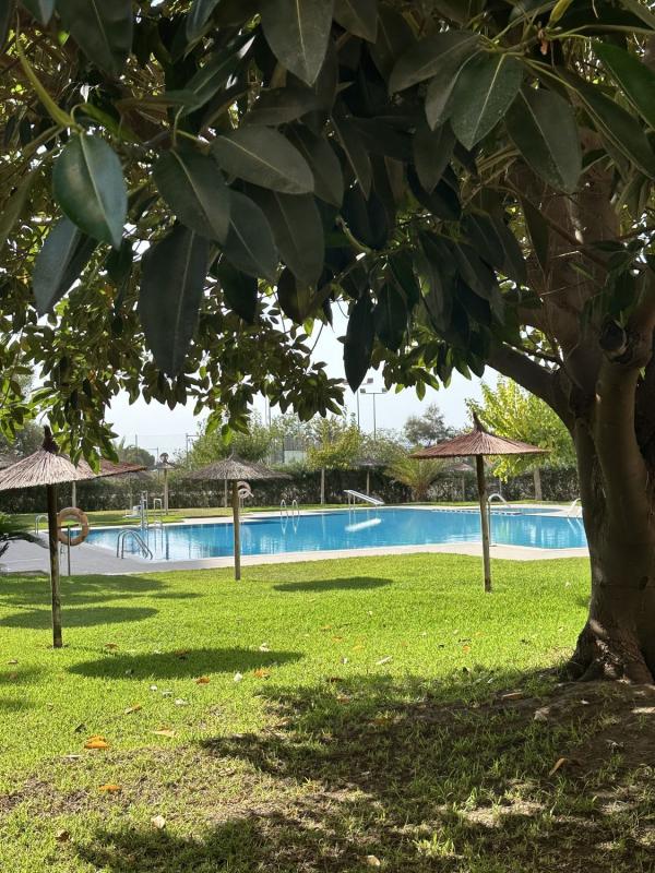 Продажа квартиры на Piso en Avenida del Puerto, 33, Puerto Deportivo, Guardamar del Segura, Гуардамар-дель-Сегура
photo 3
