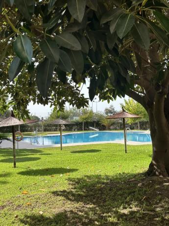 Sale of flat in Piso en Avenida del Puerto, 33, Puerto Deportivo, Guardamar del Segura, Guardamar del Segura
thumbnail 3