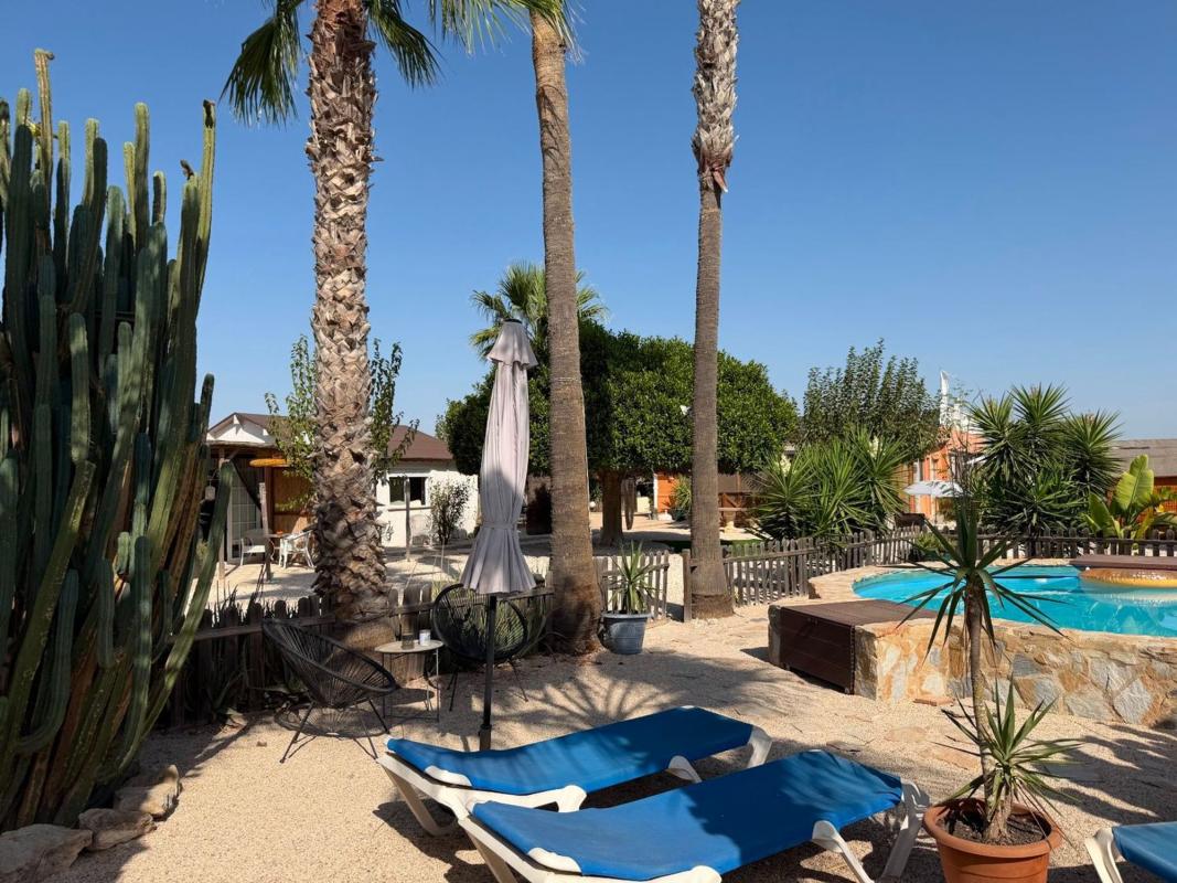 Sprzedaż działki rolnej w Finca rústica en La Marina, Elche / Elx , Elche / Elx photo 5