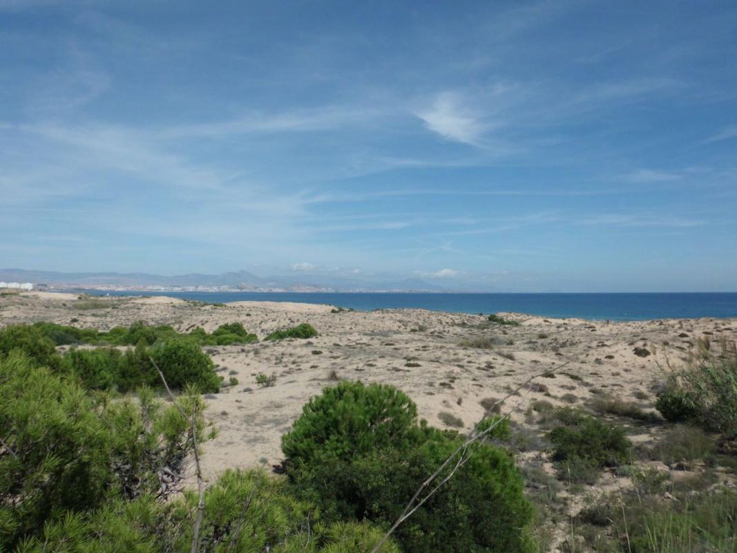 Land for sale in Elche / Elx, Alicante photo 1