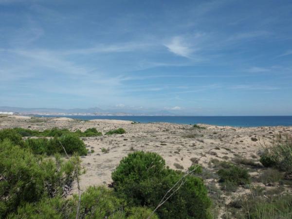 Terreno en Calle Sinus Ilicitanus, 2, El Altet - Balsares, Elche / Elx photo 1