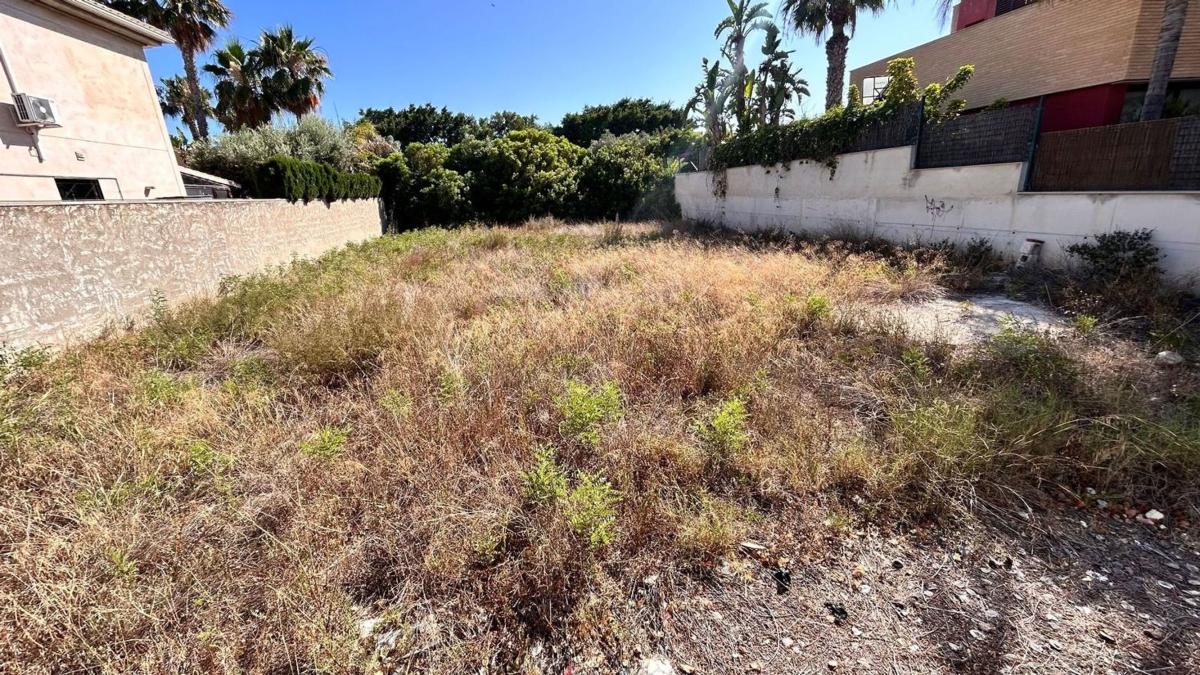 Land for sale in Alicante, Alicante photo 5