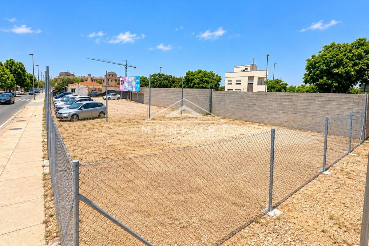 Land for sale in Pilar de la Horadada, Alicante photo 3