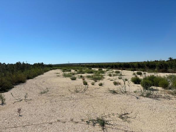 Terreno en La Hoya-Daimes-El Derramador, Elche / Elx photo 3