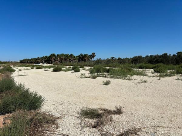 Terreno en La Hoya-Daimes-El Derramador, Elche / Elx photo 4