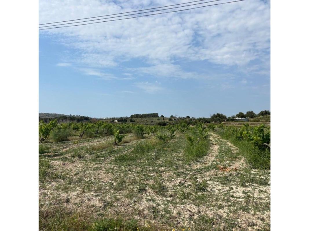 Land for sale in Teulada, Alicante photo 4