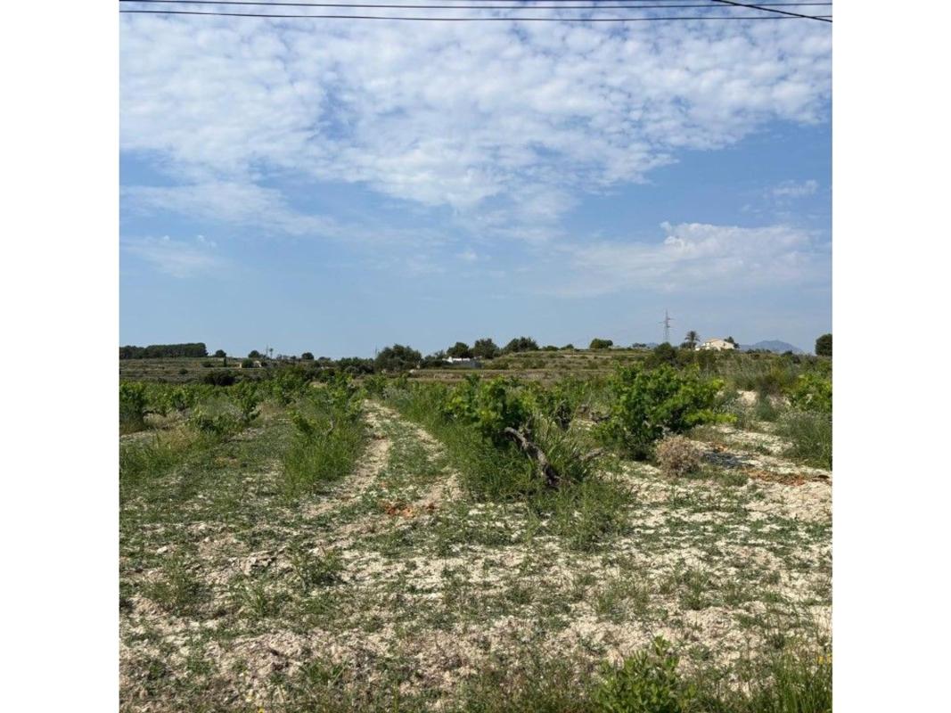 Land for sale in Teulada, Alicante photo 5