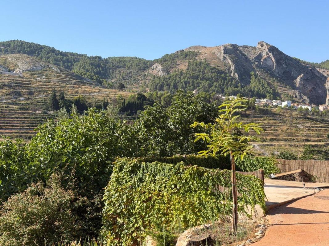 Properties for sale and rent in Spain photo 5