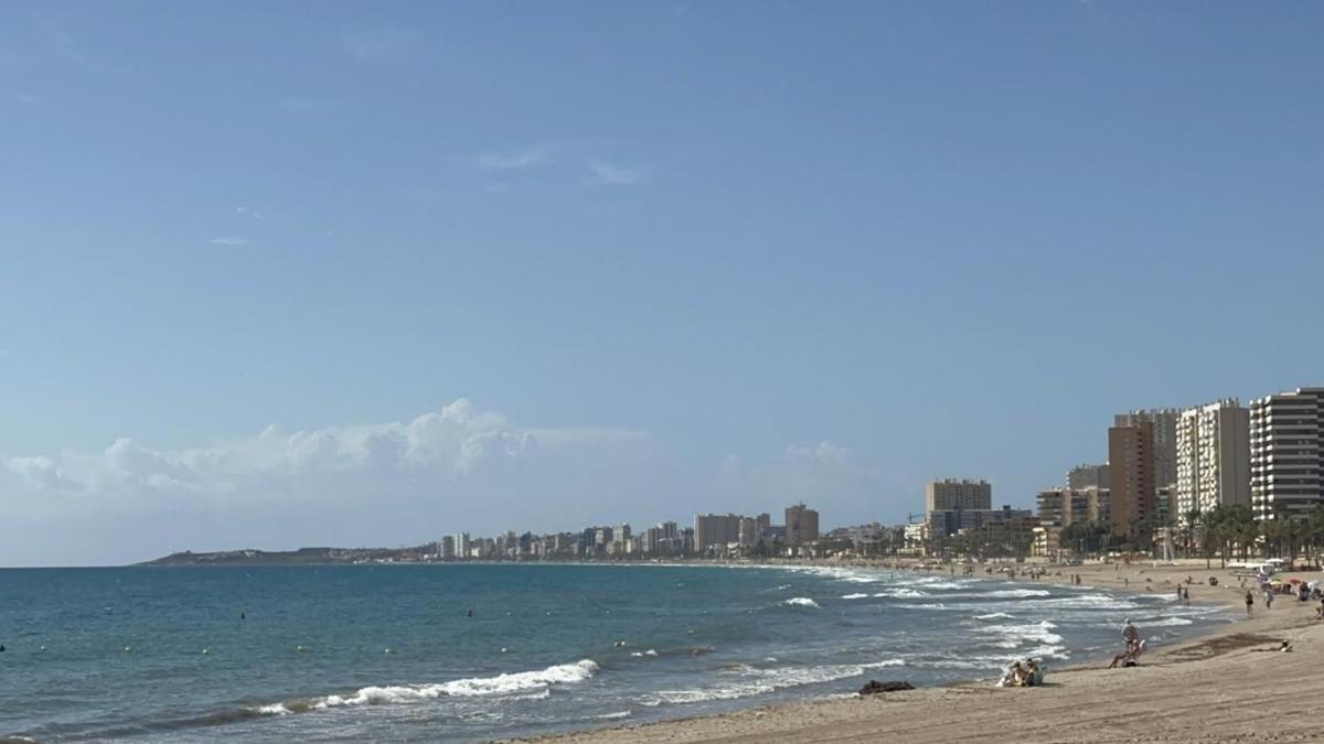 Sprzedaż mieszkania w Piso en Avenida Jaime I el Conquistador, Playa Muchavista, El Campello, El Campello
photo 3