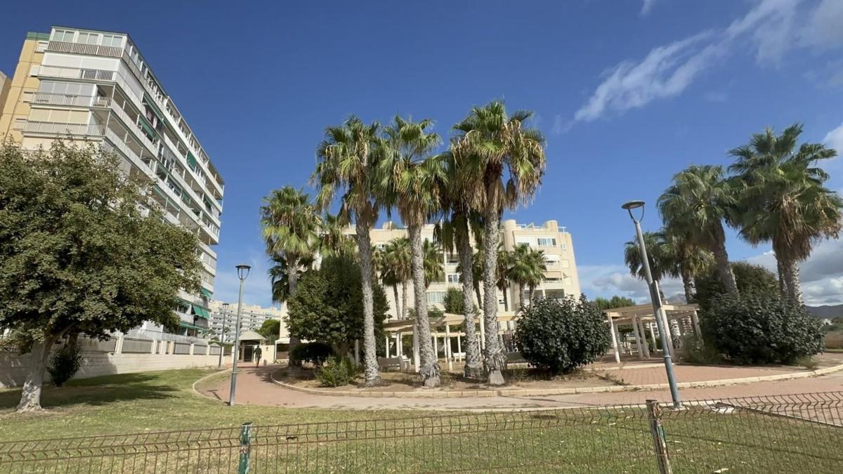 Sprzedaż mieszkania w Piso en Avenida Jaime I el Conquistador, Playa Muchavista, El Campello, El Campello
photo 5