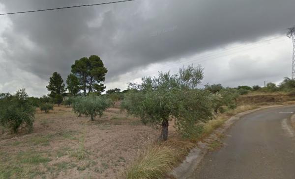Terreno en Camino Alqueries de Benifloret, 191, Cocentaina photo 4