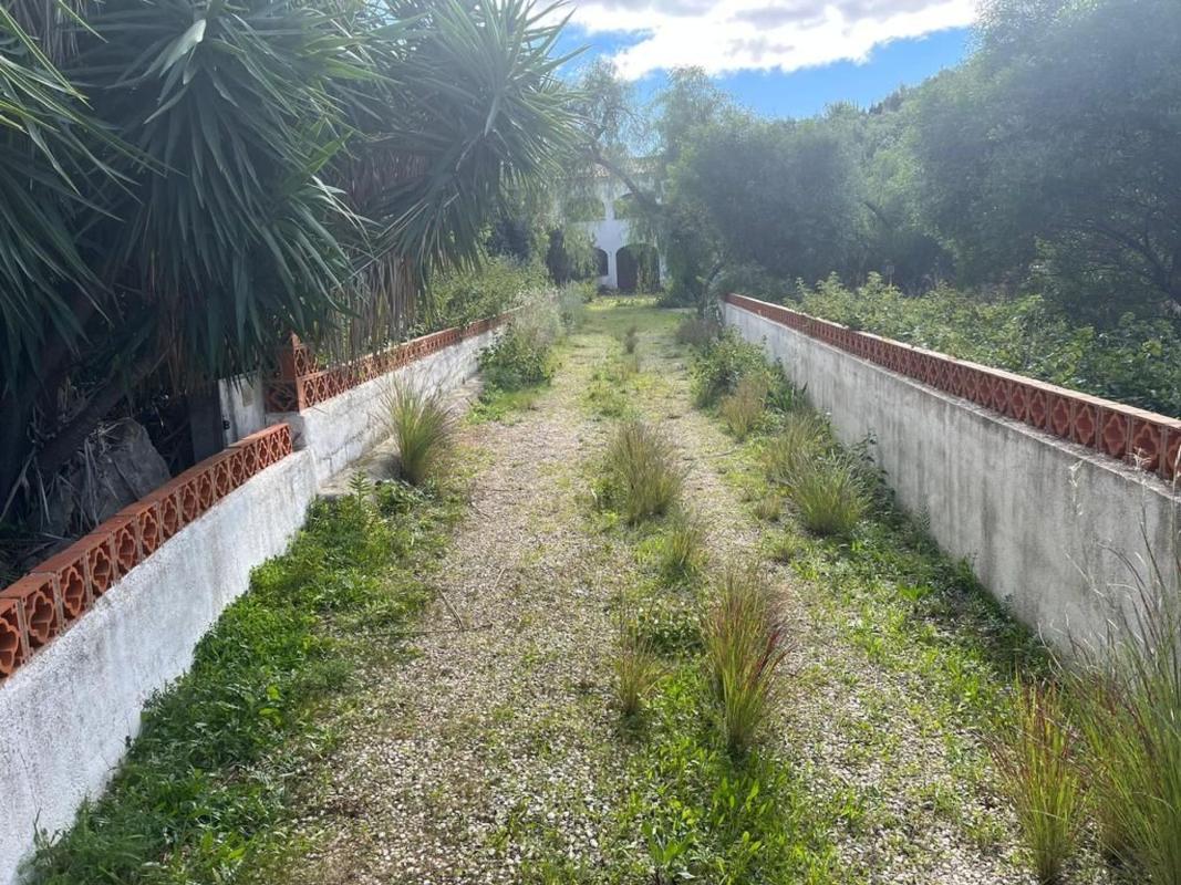 Продажа загородного участка в Finca rústica en Partida Molinete, 7, Centro, Pedreguer , Педрегер photo 2