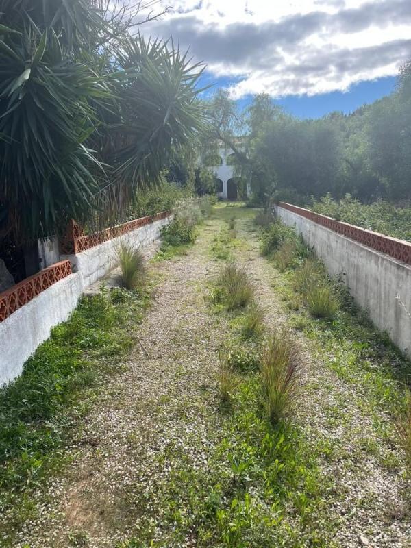 Продажа загородного участка в Finca rústica en Partida Molinete, 7, Centro, Pedreguer , Педрегер photo 5