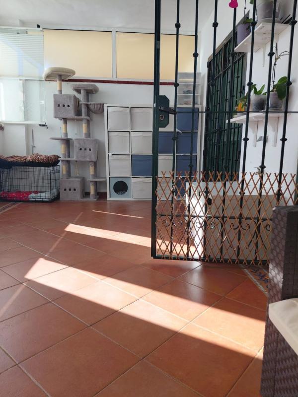 Venta de piso en Piso en Calle Ópalo, 13, Riviera del Sol, Mijas, Mijas
photo 5