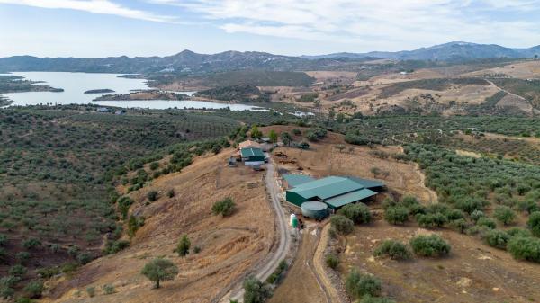 Rustic farm for sale in Casa rústica en Periana , Periana photo 1