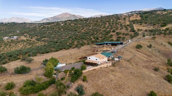 Rustic farm for sale in Casa rústica en Periana , Periana thumbnail 3