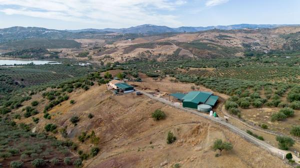 Rustic farm for sale in  Casa rústica en Periana , Periana photo 4