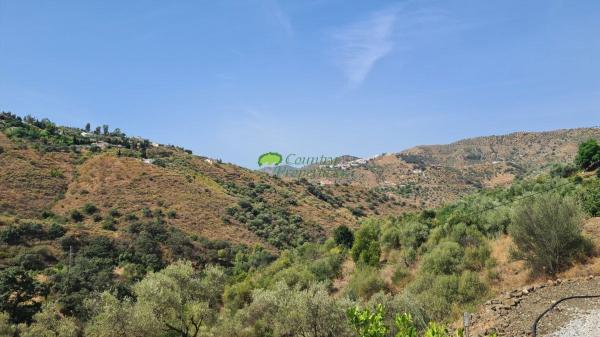 Casa rural en Competa photo 3