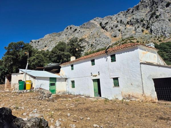 Finca rustykalna na sprzedaż w  Finca rústica en Monte, 278, Jimera de Libar , Jimera de Libar photo 1