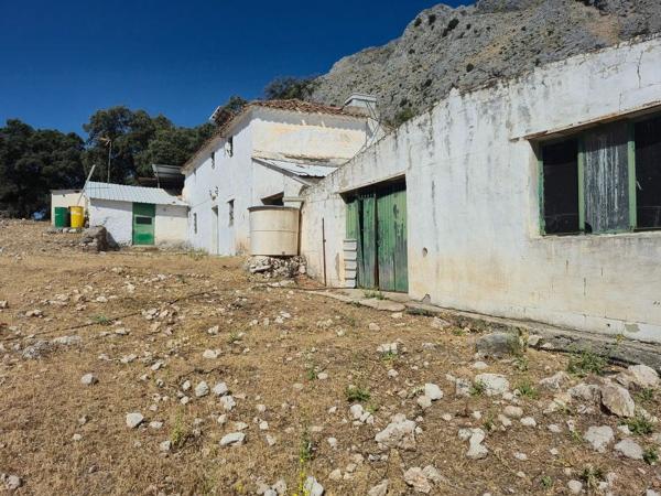 Finca rustykalna na sprzedaż w  Finca rústica en Monte, 278, Jimera de Libar , Jimera de Libar photo 2