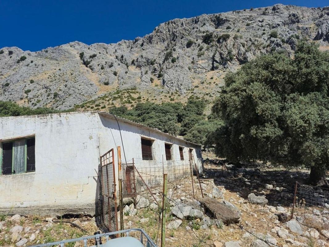 Sprzedaż działki rolnej w Finca rústica en Monte, 278, Jimera de Libar , Jimera de Libar photo 5