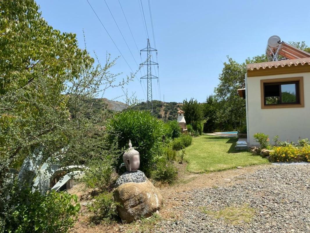Venta de finca rústica en Finca rústica en Camino Nicola s/n, El Velerín, Estepona , Estepona photo 3