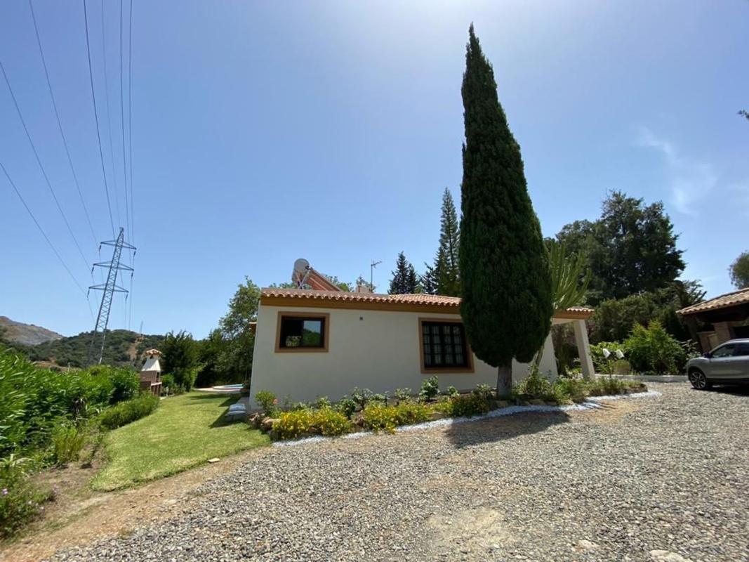 Venta de finca rústica en Finca rústica en Camino Nicola s/n, El Velerín, Estepona , Estepona photo 4