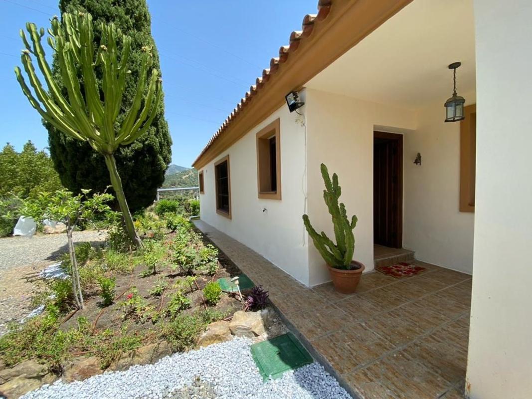 Venta de finca rústica en Finca rústica en Camino Nicola s/n, El Velerín, Estepona , Estepona photo 5