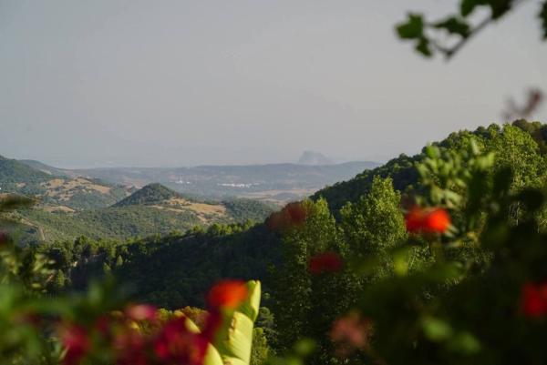 Rustic farm for sale in  Finca rústica en A-377, Casares, Casares , Casares photo 4