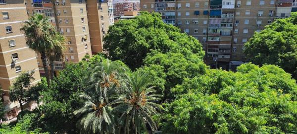 Venta de piso en Piso en La Luz, Málaga, Málaga
thumbnail 2