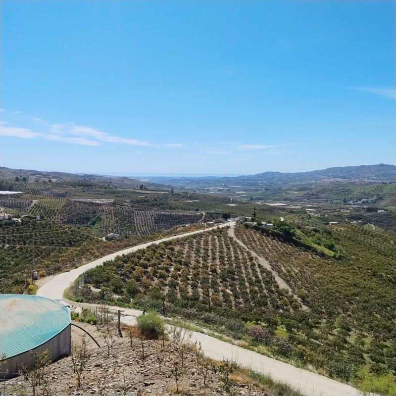 Properties for sale and rent in Spain photo 4