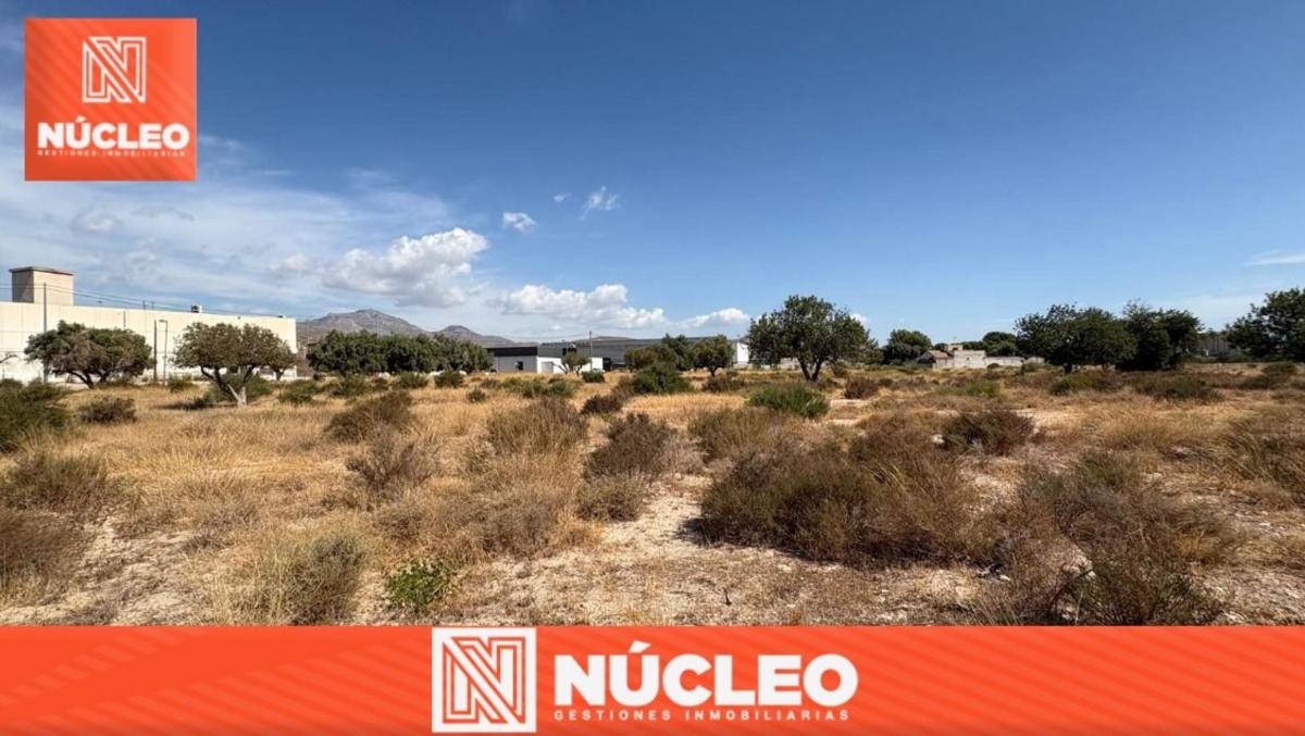 Terreno en venta en El Campello, Alicante photo 1