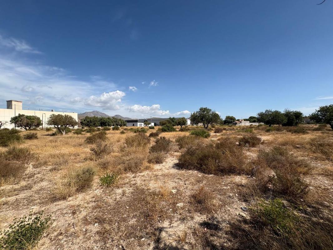 Terreno en venta en El Campello, Alicante photo 3