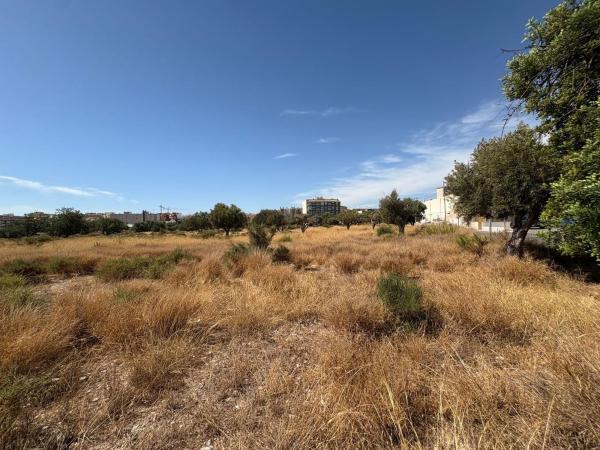 Terreno en Calle del Convent, Campello Pueblo, El Campello photo 4