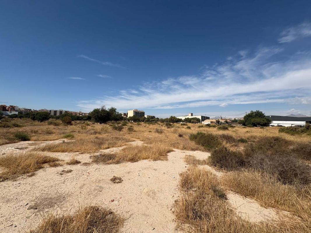 Terreno en venta en El Campello, Alicante photo 5