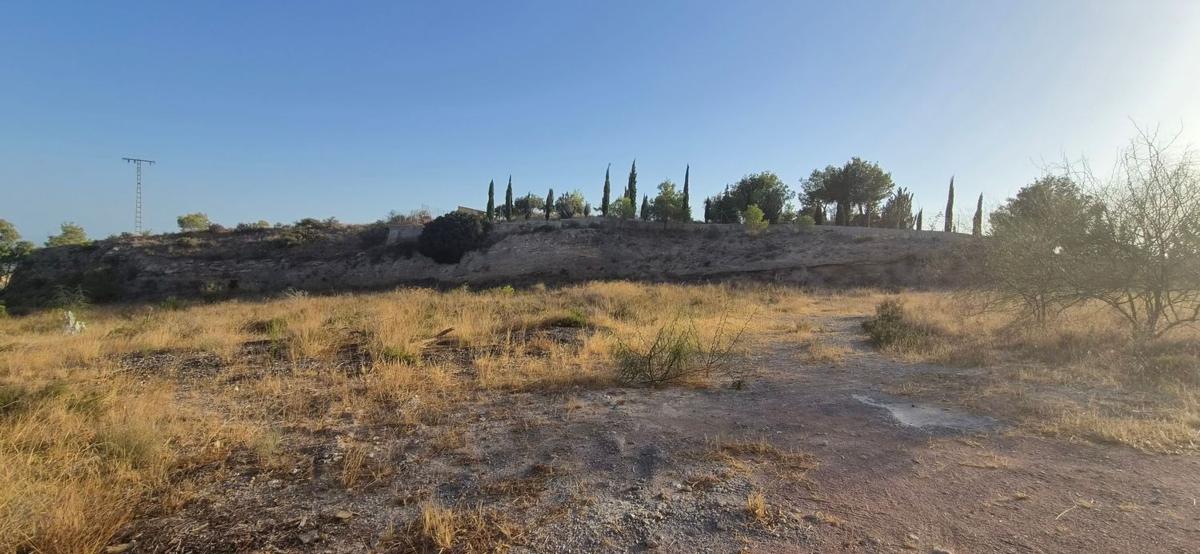 Terreno en venta en Aspe, Alicante photo 1