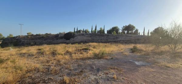 Terreno en Camino Viejo de Elche, Pedanías Este, Aspe photo 1