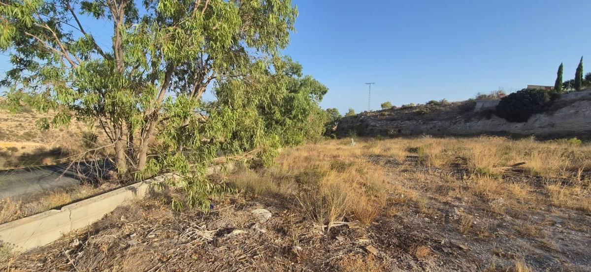 Terreno en venta en Aspe, Alicante photo 5
