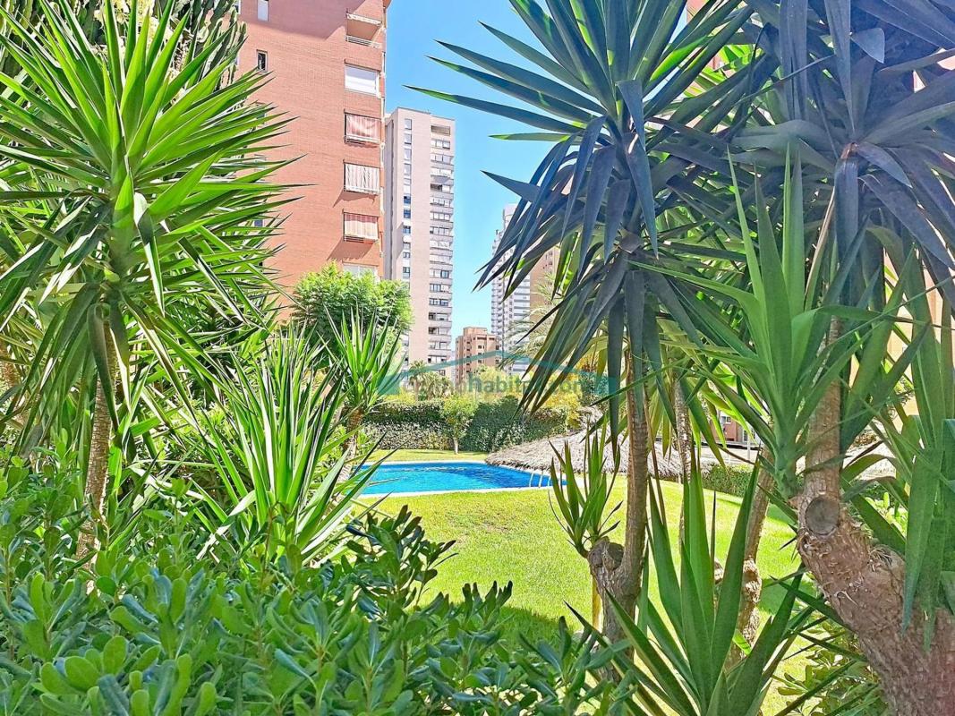 Venta de piso en Piso en Pueblo Levante, Benidorm, Benidorm
 photo 3