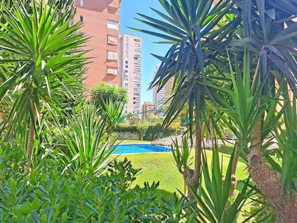 Sale of flat in Piso en Pueblo Levante, Benidorm, Benidorm
thumbnail 3