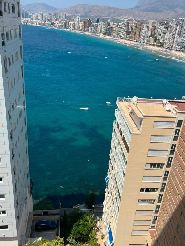 Venta de piso en Piso en Calle Alcalde Manuel Catalán Chana, Zona Sierra Helada, Benidorm, Benidorm
photo 3