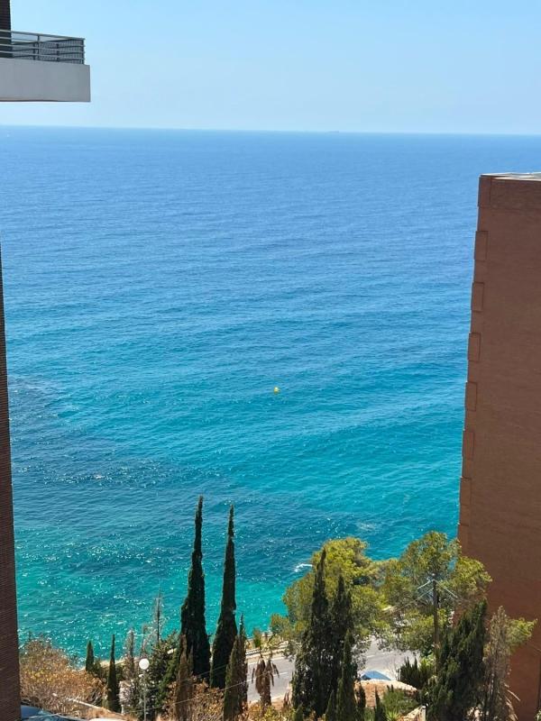 Venta de piso en Piso en Calle Alcalde Manuel Catalán Chana, Zona Sierra Helada, Benidorm, Benidorm
photo 4