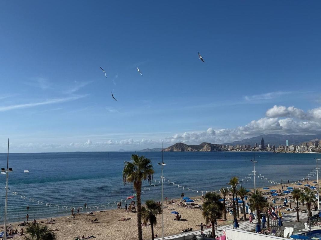 Venta de piso en Piso en Avenida de Madrid s/n, Playa de Levante, Benidorm, Benidorm
photo 3