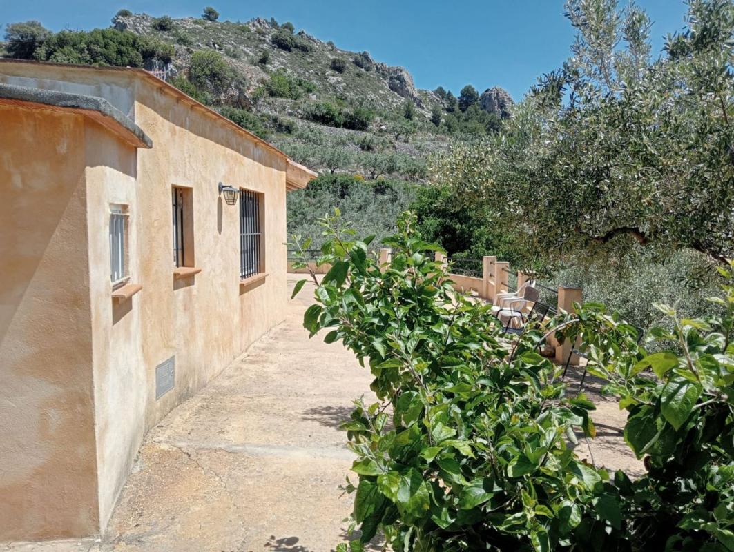 Properties for sale and rent in Spain photo 3