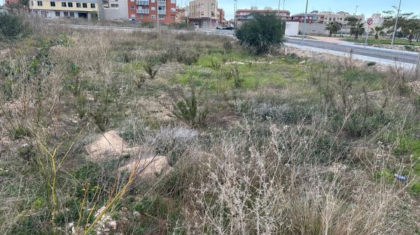 Terreno en Calle San Mateo, Los Montesinos photo 1