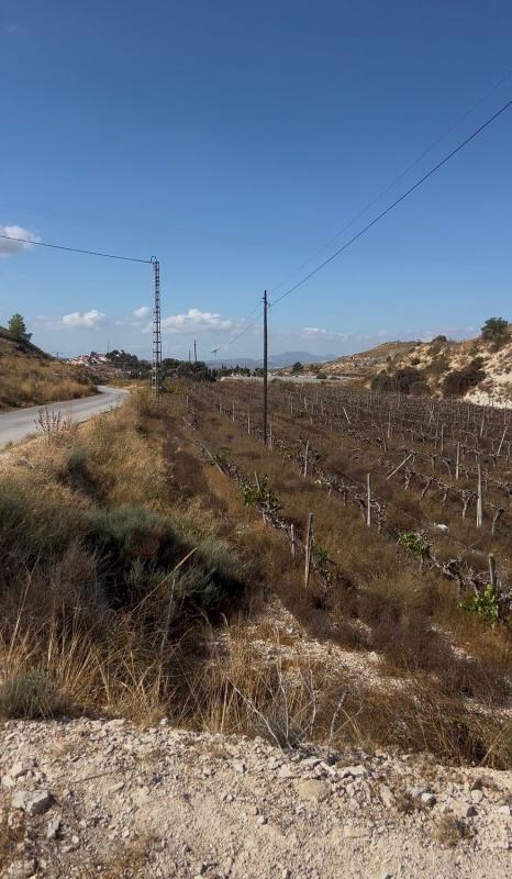 Działka na sprzedaż w Agost, Alicante photo 3