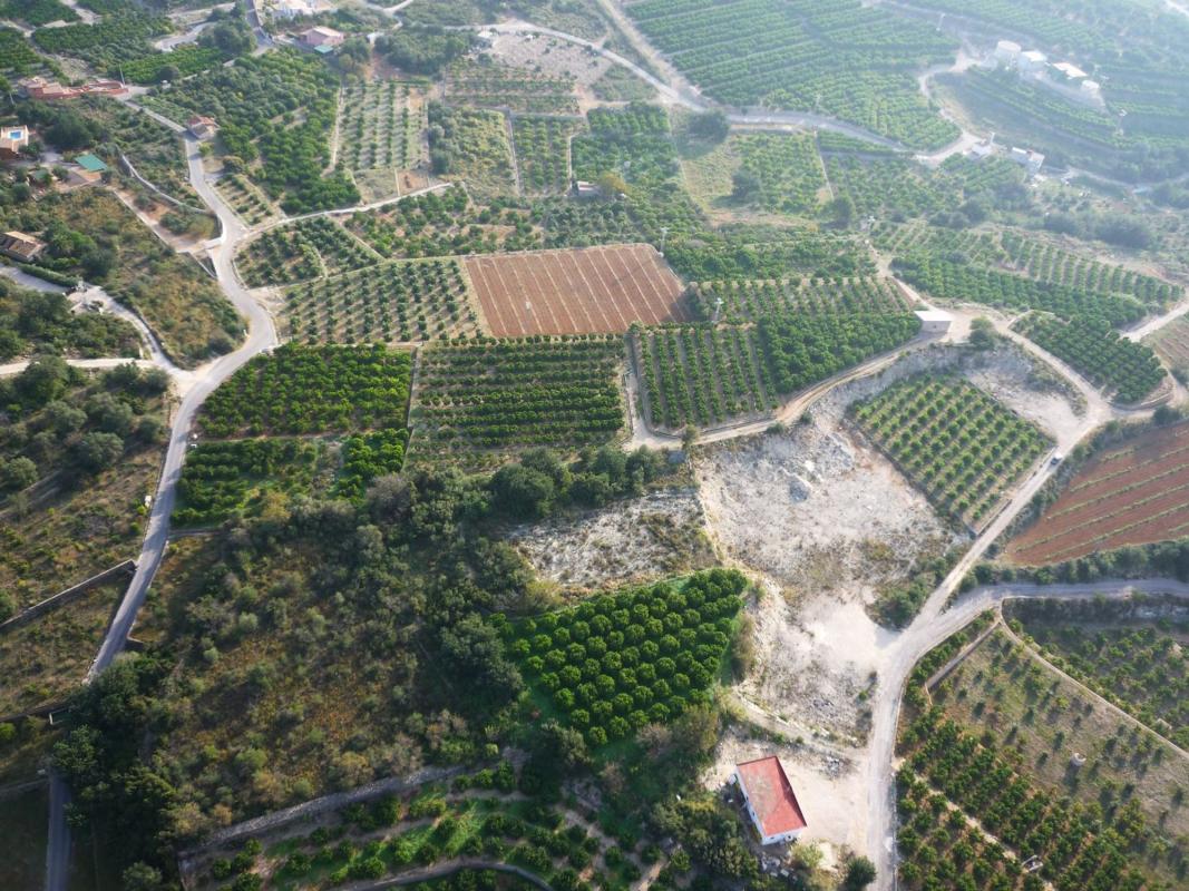Land for sale in Sanet and Negrals, Alicante photo 1
