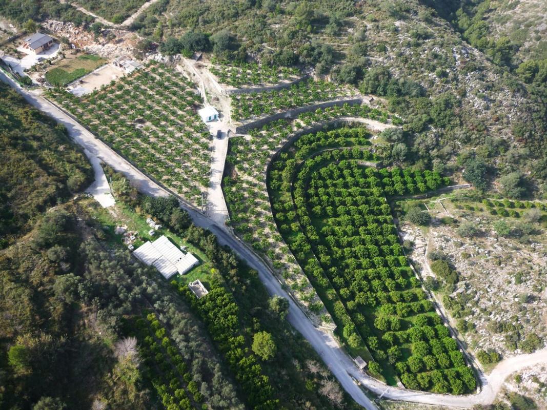 Land for sale in Sanet and Negrals, Alicante photo 3